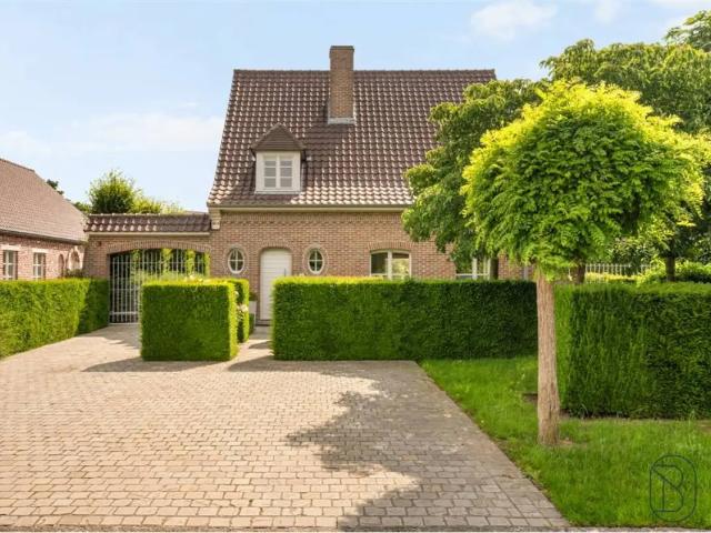 Chalet vente à Wielsbeke, West-Vlaanderen