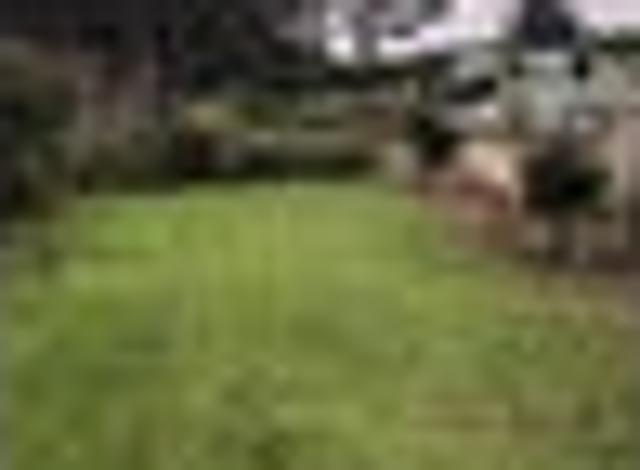 House for rent in Northland
