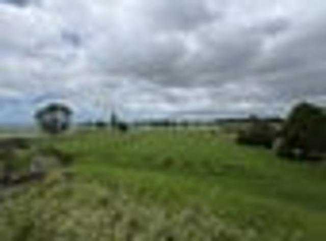 House for rent in Te Ranga, Bay Of Plenty
