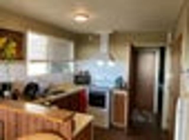 House for rent in Te Puke, Bay Of Plenty