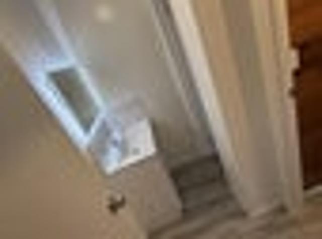 House for rent in Te Puke, Bay Of Plenty