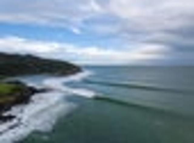 Land for sale in Waikato