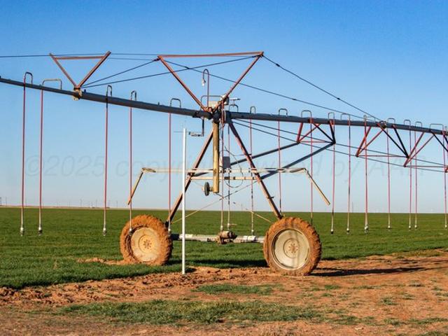 Farm for sale in Dimmitt, Texas