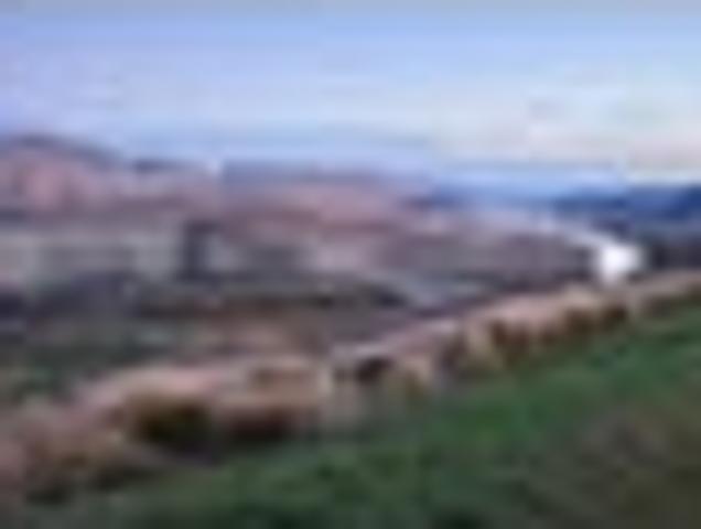 Land for sale in Hastings