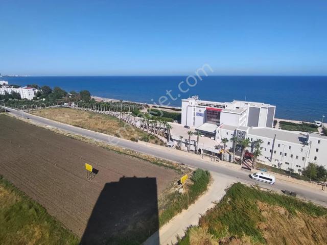 Tece, Mezitli içerisinde kiralık mülk