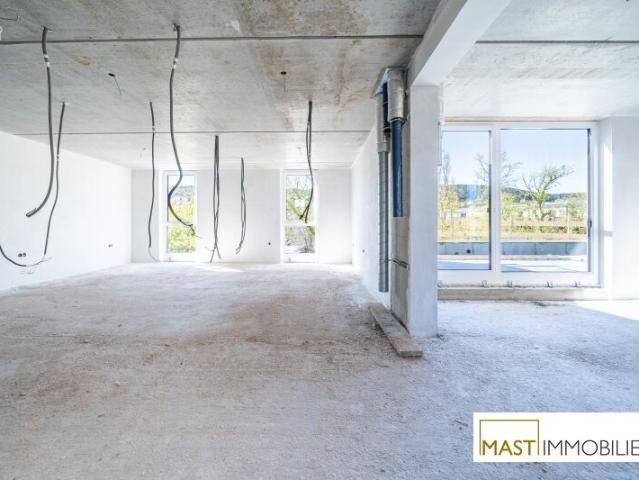 Dachgeschosswohnung kaufen in Mödling, Niederösterreich