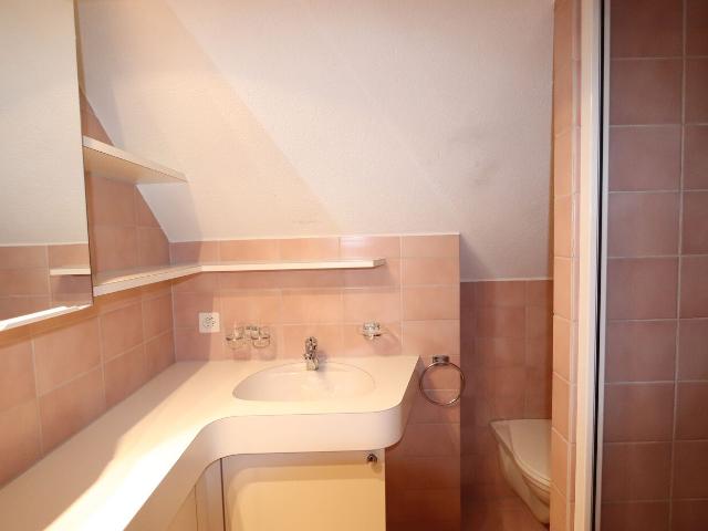 Apartment mieten in Villmergen