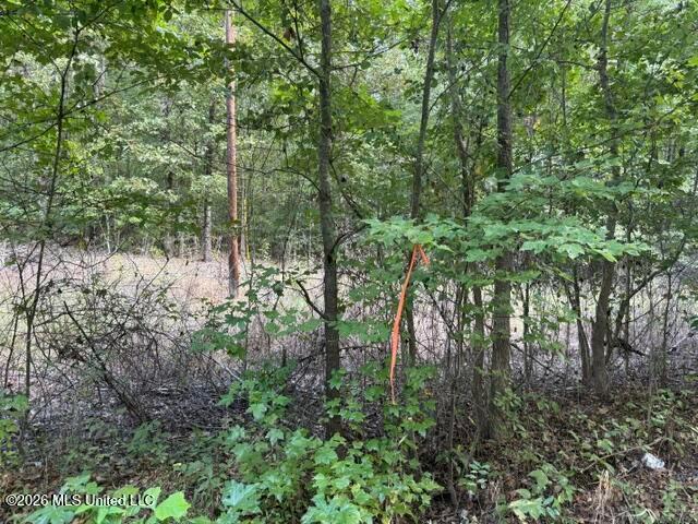 Land for sale in Byhalia, Mississippi
