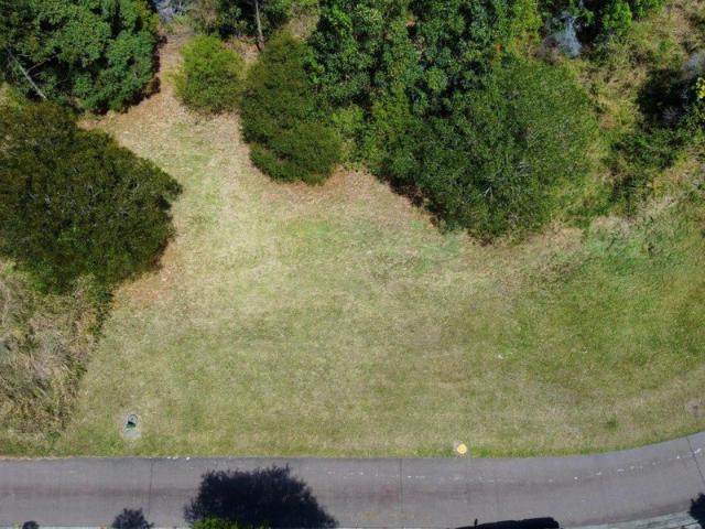 Land for sale in Tallwoods Village, New South Wales