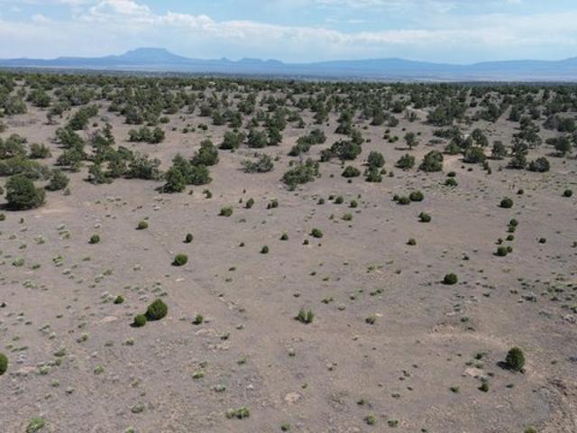 Land for sale in Catron, New Mexico