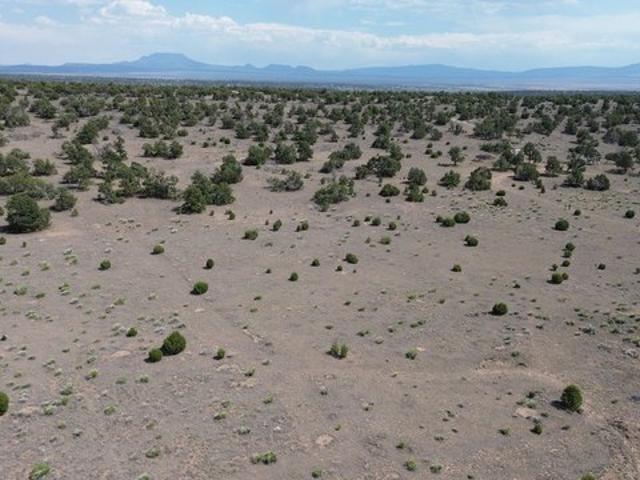 Land for sale in Quemado, Catron County
