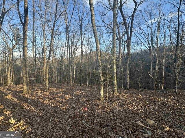 Land for sale in Cleveland