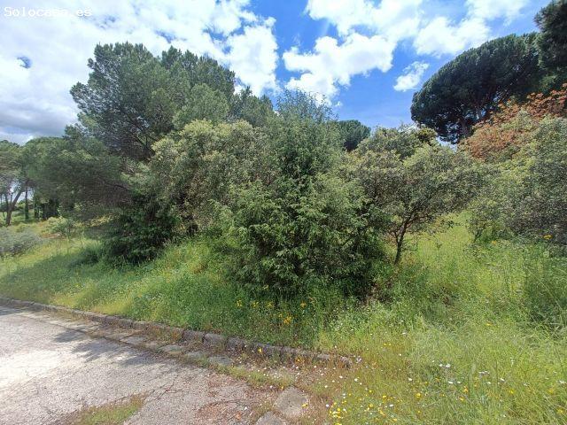 Local Comercial en venta en San Martín De Valdeiglesias, Madrid