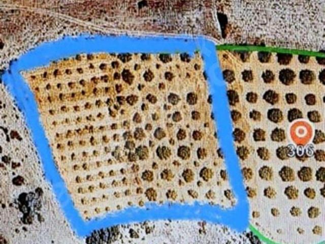Aşıklar, Tefenni içerisinde satılık Arsa