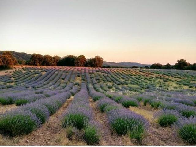 Local Comercial en venta en Albalate De Zorita, Castilla-La Mancha