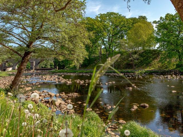 Lägenhet hyra i Halmstad, Halland