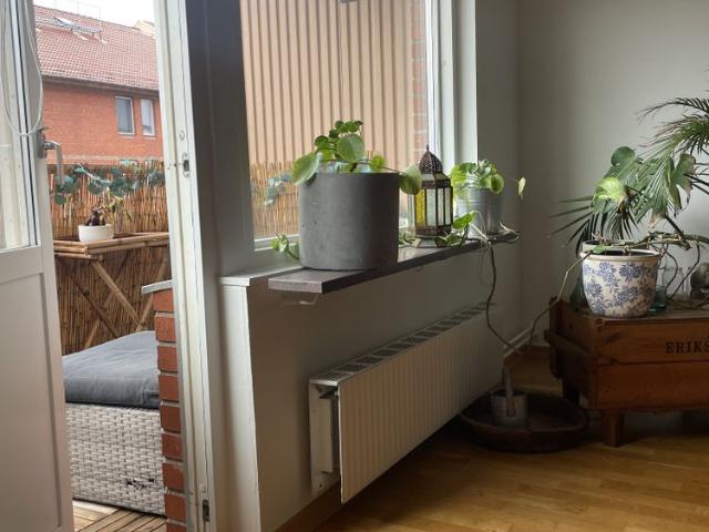 Lägenhet hyra i Malmö, Skåne