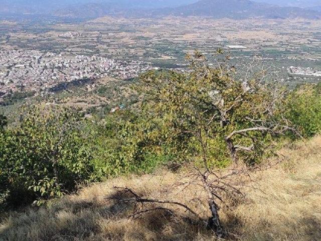 Tire, İzmir içerisinde satılık mülk