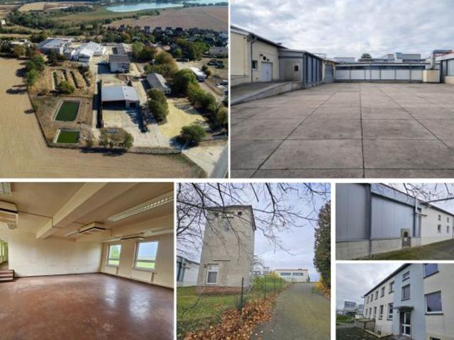 Gewerbe mieten in Grimma, Sachsen