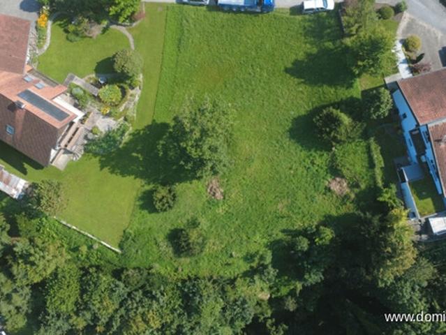 Grundstück kaufen in Koblach, Vorarlberg
