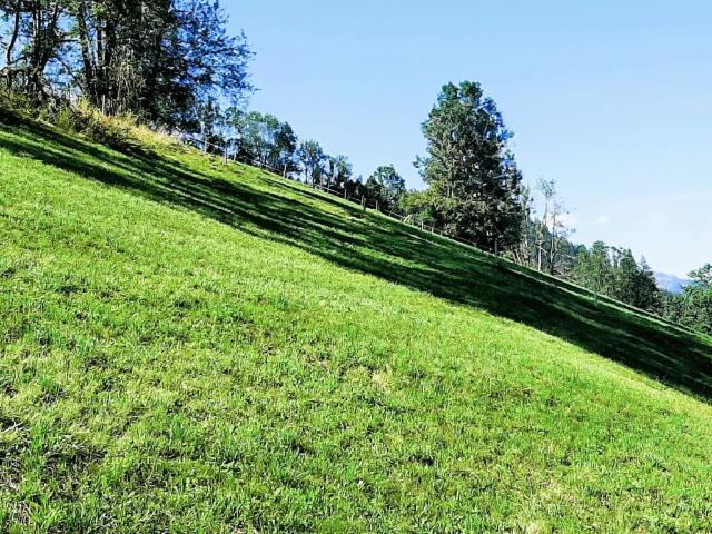 Grundstück kaufen in Zweisimmen, Bern