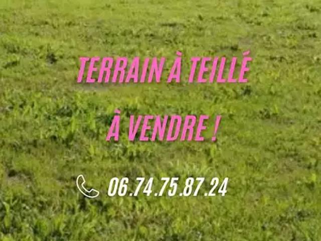 Terrain vente à Châteaubriant-Ancenis, Teillé