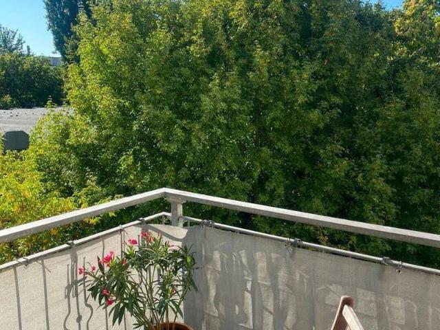 Apartment mieten in Mitte, Berlin