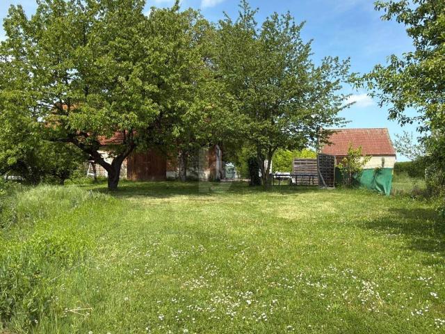 Haus kaufen in Mannersdorf an der Rabnitz, Burgenland