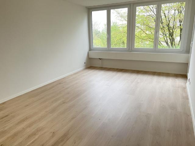 Apartment mieten in Schaffhausen