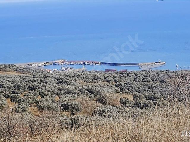 Hoşköy Mahallesi, Şarköy içerisinde satılık Arsa