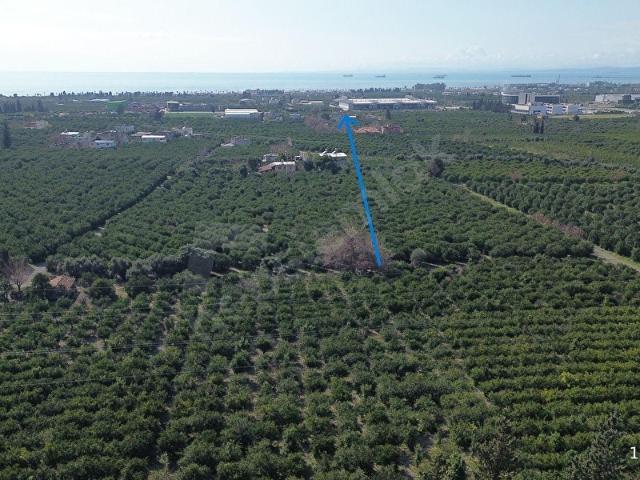 Dörtyol, Hatay içerisinde satılık mülk
