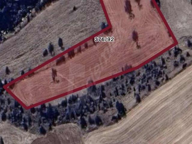 Yenidoğan, Beyşehir içerisinde satılık Arsa
