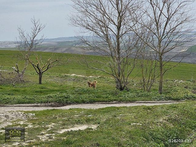 Çakıllı, Vize içerisinde satılık Arsa