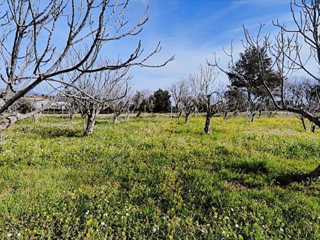 Torbali, İzmir içerisinde satılık Arsa