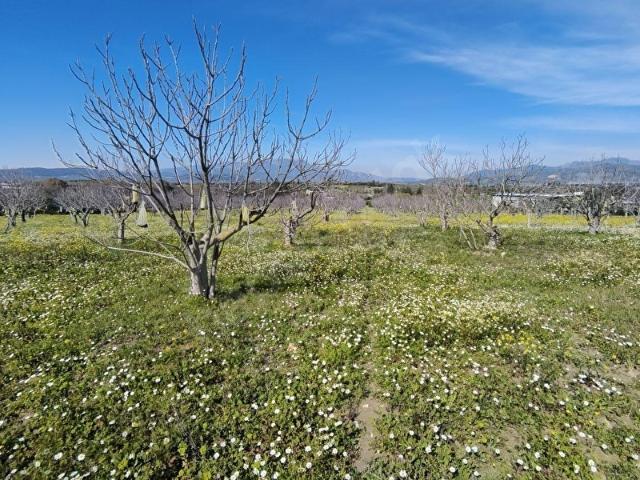 Torbali, İzmir içerisinde satılık Arsa