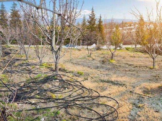 Ayaş, Ankara içerisinde satılık mülk
