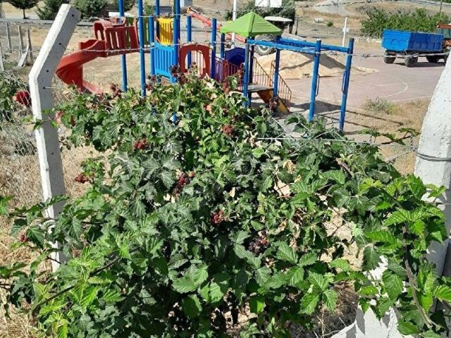 Gözebaşı, Elâzığ Merkez içerisinde satılık mülk