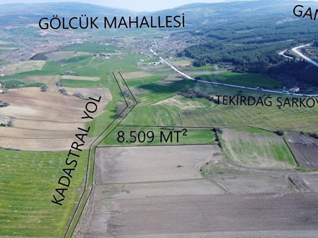 Gölcük, Şarköy içerisinde satılık Arsa