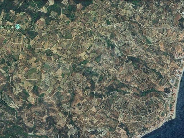 Hoşköy Mahallesi, Şarköy içerisinde satılık mülk