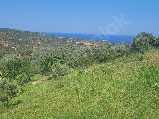 Şarköy, Tekirdağ içerisinde satılık Arsa