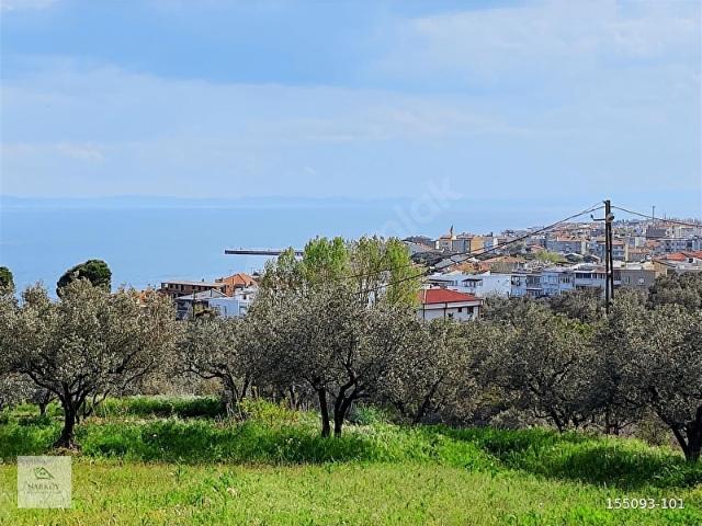 Mürefte, Şarköy içerisinde satılık mülk