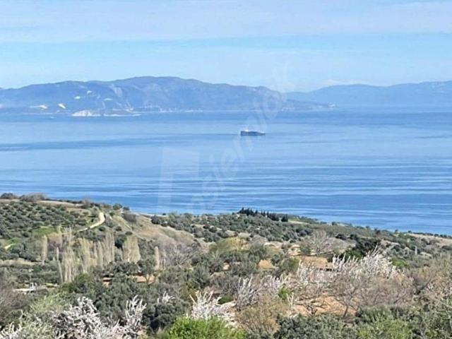 Şarköy, Tekirdağ içerisinde satılık Arsa