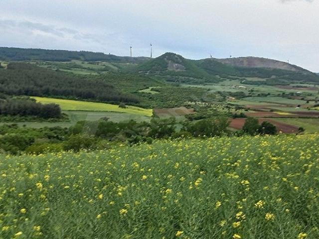 Yeniköy Mahallesi, Şarköy içerisinde satılık Arsa