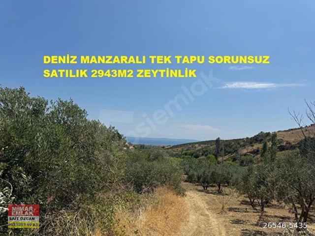 Şarköy, Tekirdağ içerisinde satılık Arsa