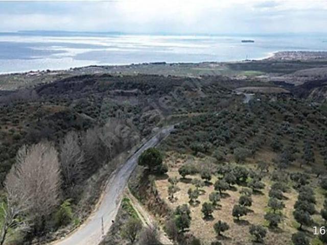 Aşağıkalamış Mahallesi, Şarköy içerisinde satılık Arsa