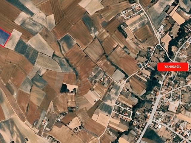 Tekirdağ içerisinde satılık Arsa