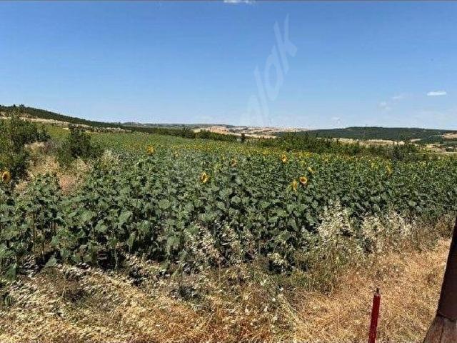 Malkara, Tekirdağ içerisinde satılık Arsa