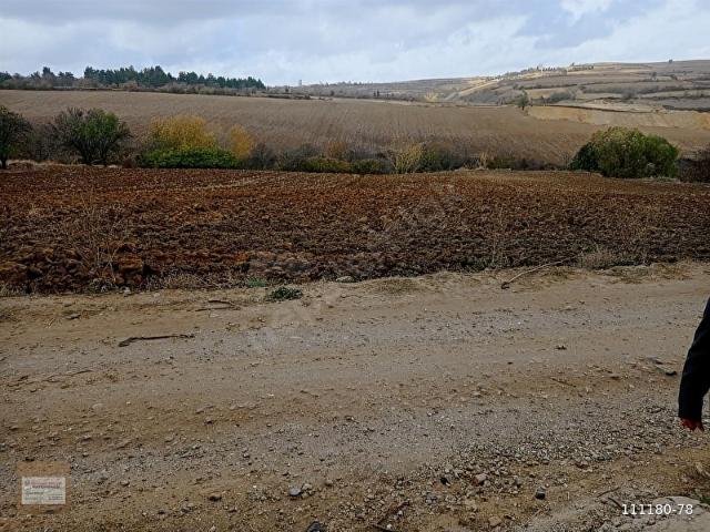 Malkara, Tekirdağ içerisinde satılık mülk