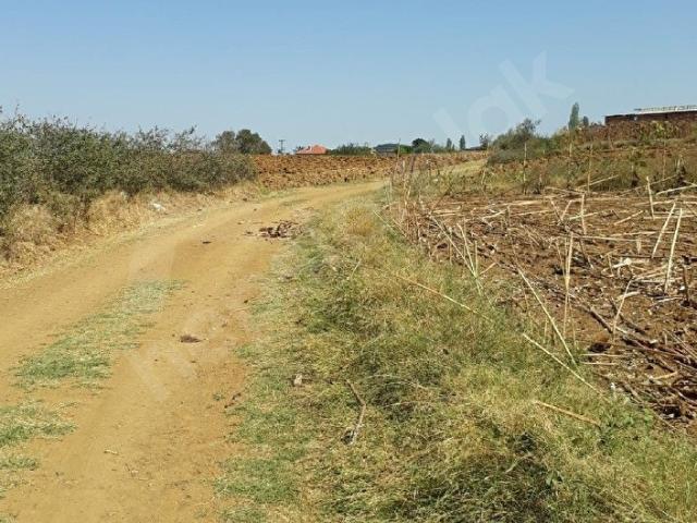 Malkara, Tekirdağ içerisinde satılık Arsa