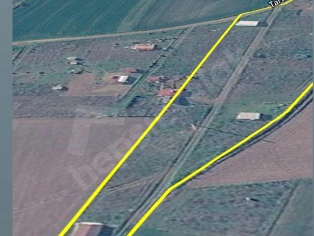 Dereağzı Mahallesi, Marmaraereğlisi içerisinde satılık Arsa